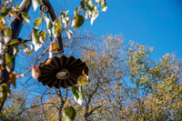 -Serenbe Revisited Nov 2014