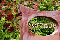 Sesrenbe Community Photos